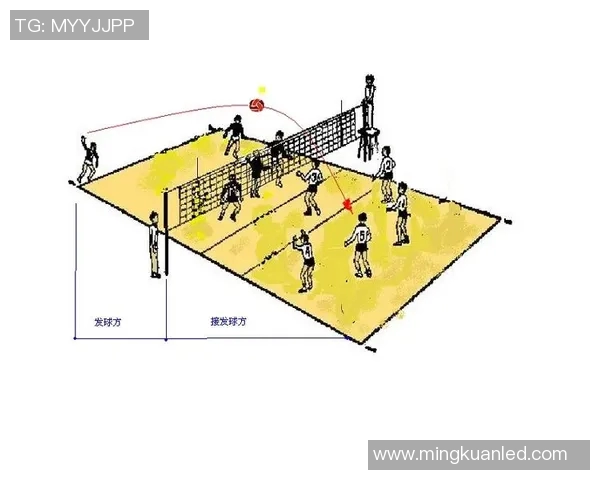 重庆排球队反击战术解析与比赛得失总结 重庆排球队反击战术解析与比赛得失总结