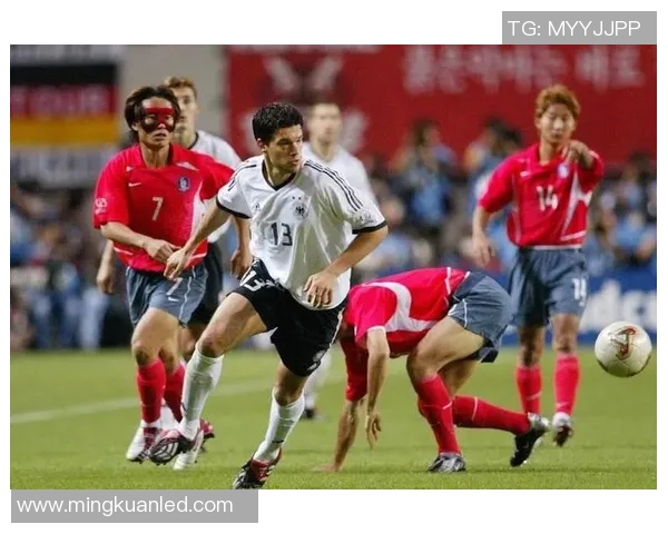 北京排球队在世界杯预选赛中的奋斗与突破之路全景回顾